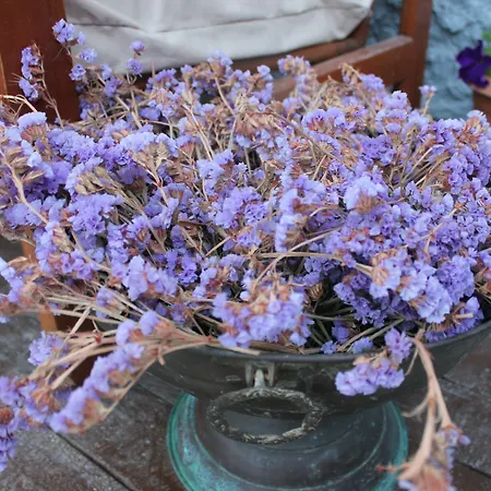 Macide Hanim Konagi Ubytování v soukromí *