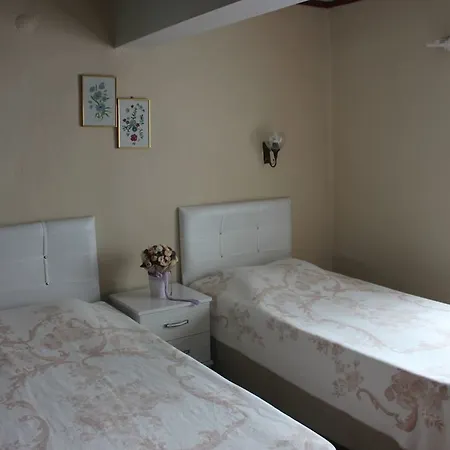 Macide Hanim Konagi Homestay Ayvalik