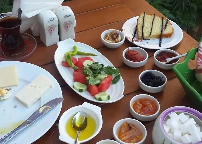 Macide Hanim Konagi Homestay *