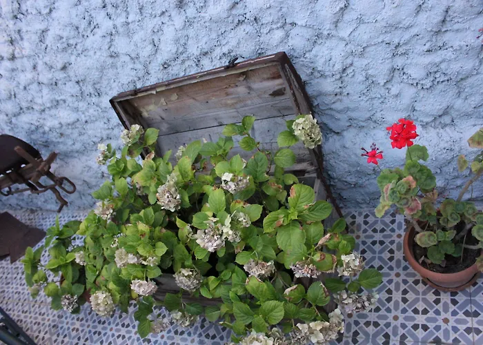 Macide Hanim Konagi Rum i privatbostad *