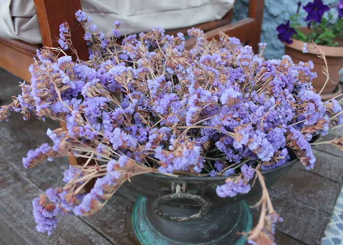 Macide Hanim Konagi Rum i privatbostad *