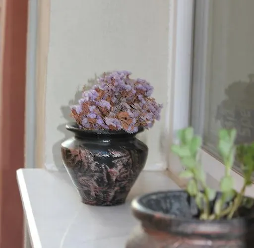 Macide Hanim Konagi Rum i privatbostad *