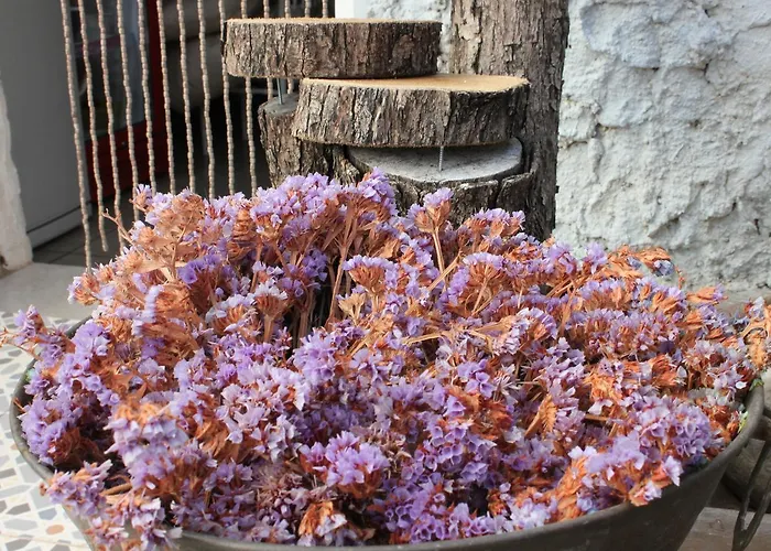 Homestay Macide Hanim Konagi Ayvalik